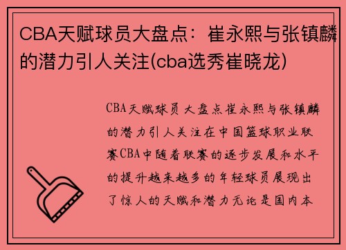 CBA天赋球员大盘点：崔永熙与张镇麟的潜力引人关注(cba选秀崔晓龙)