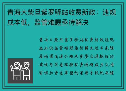 青海大柴旦紫罗驿站收费新政：违规成本低，监管难题亟待解决
